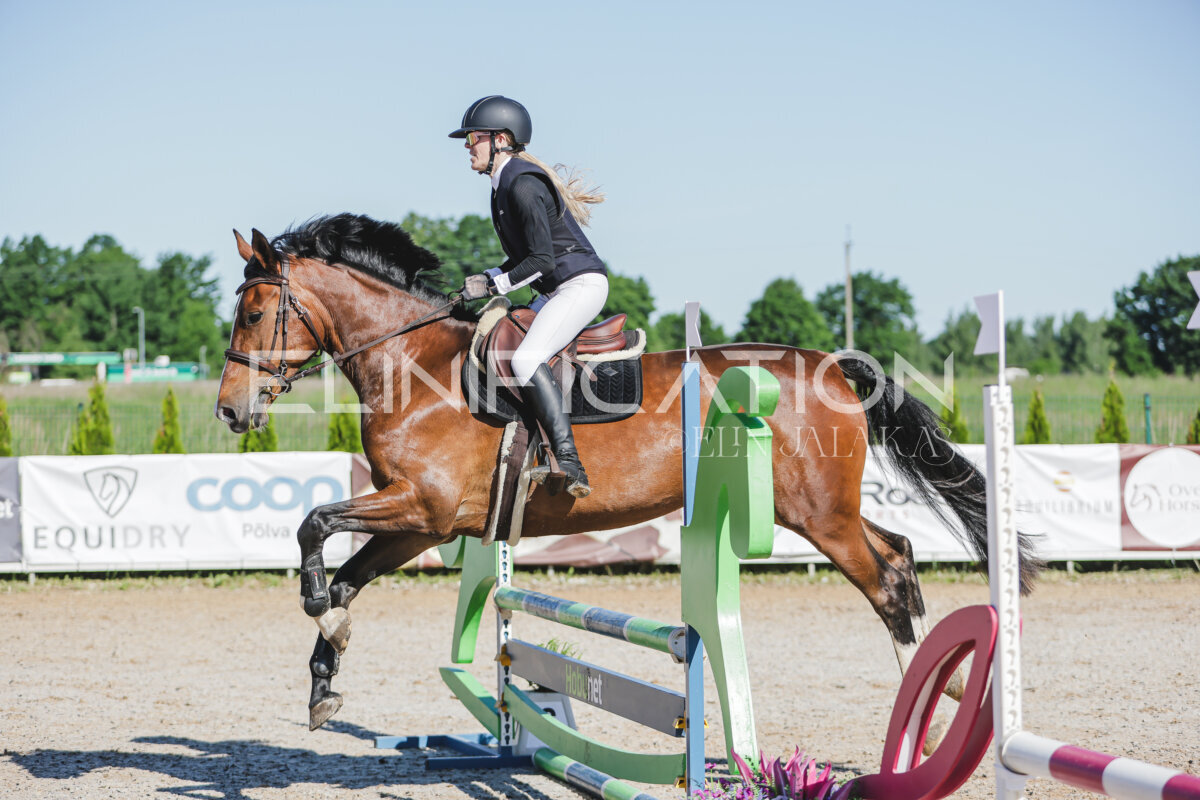 Gramina_Jaanipaev_2026_hc80-90_181