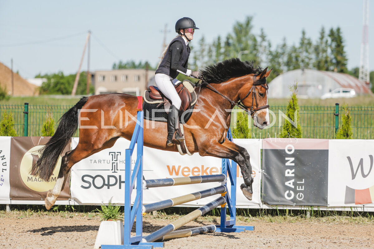 Gramina_Jaanipaev_2026_hc80-90_184