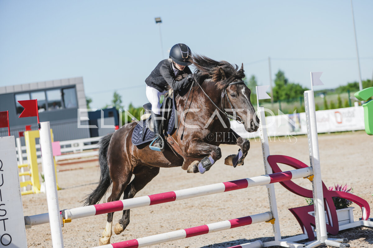 Gramina_Jaanipaev_2026_hc80-90_249