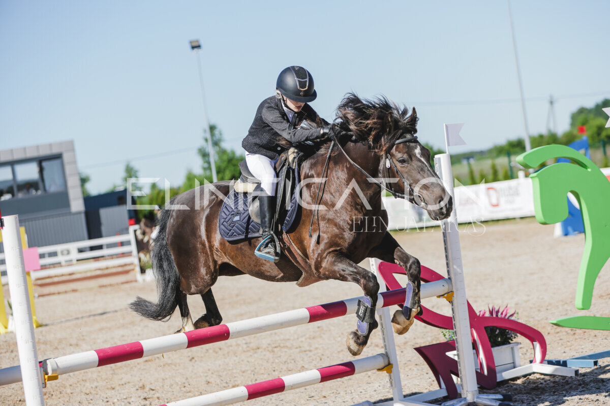 Gramina_Jaanipaev_2026_hc80-90_251