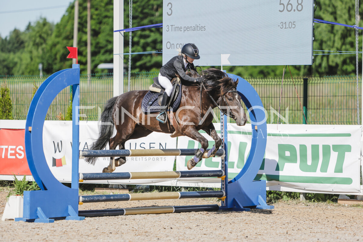 Gramina_Jaanipaev_2026_hc80-90_255
