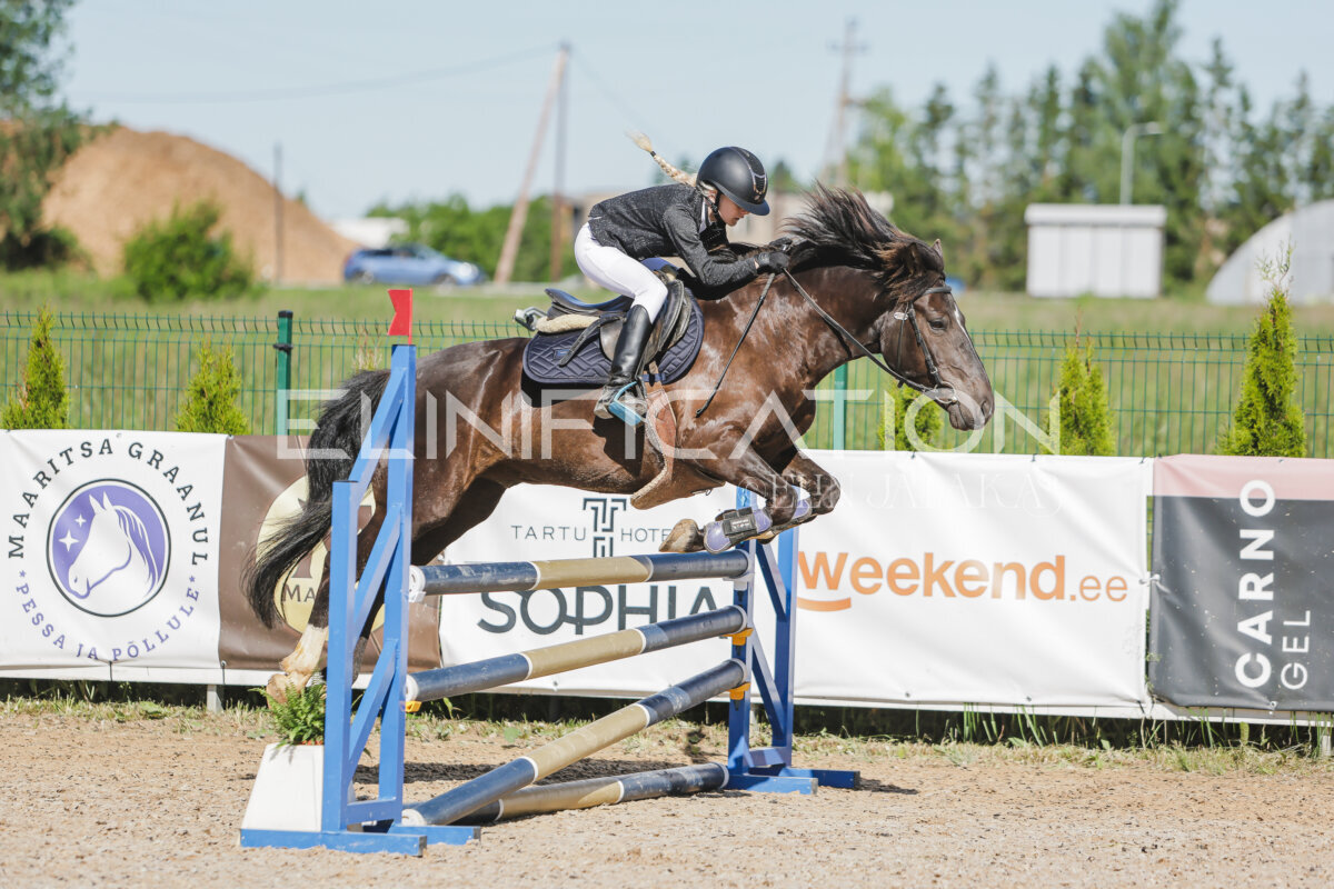 Gramina_Jaanipaev_2026_hc80-90_258