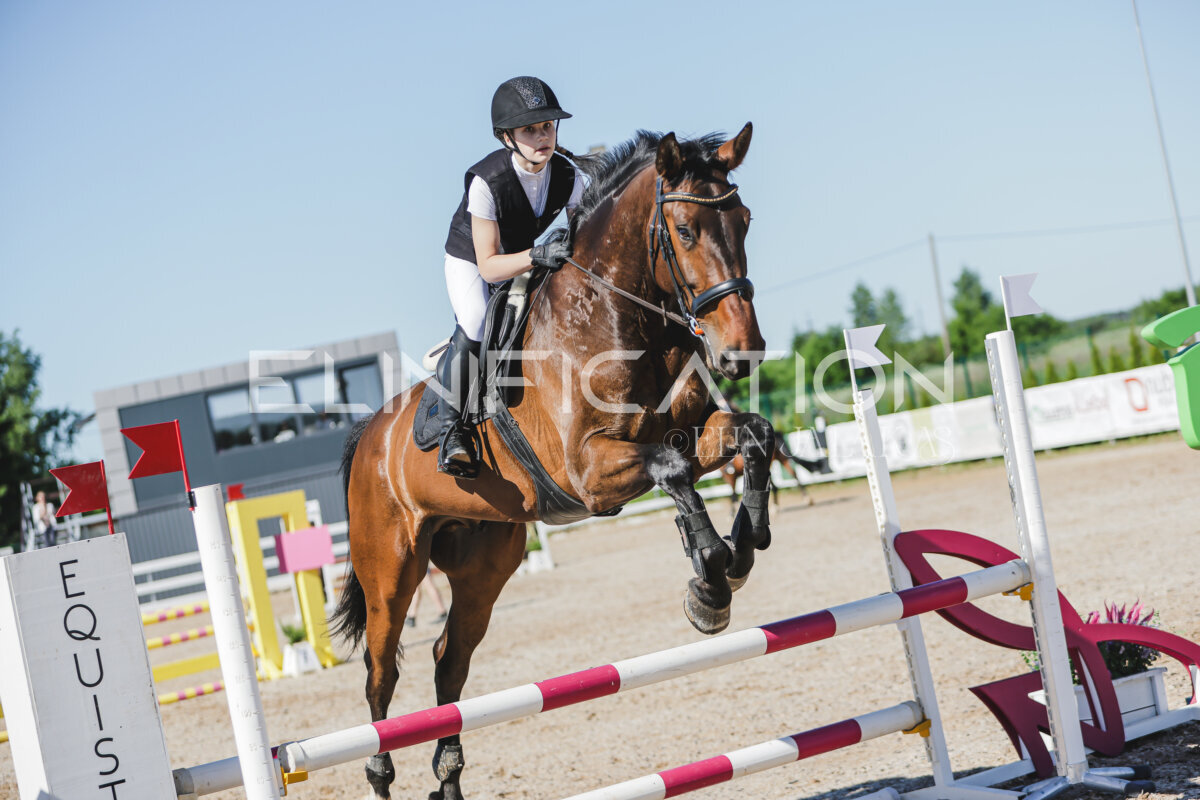 Gramina_Jaanipaev_2026_hc80-90_269