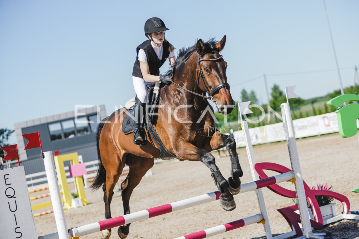 Gramina_Jaanipaev_2026_hc80-90_270