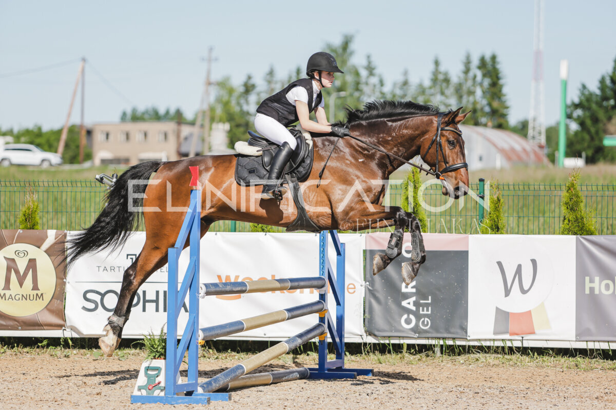 Gramina_Jaanipaev_2026_hc80-90_278