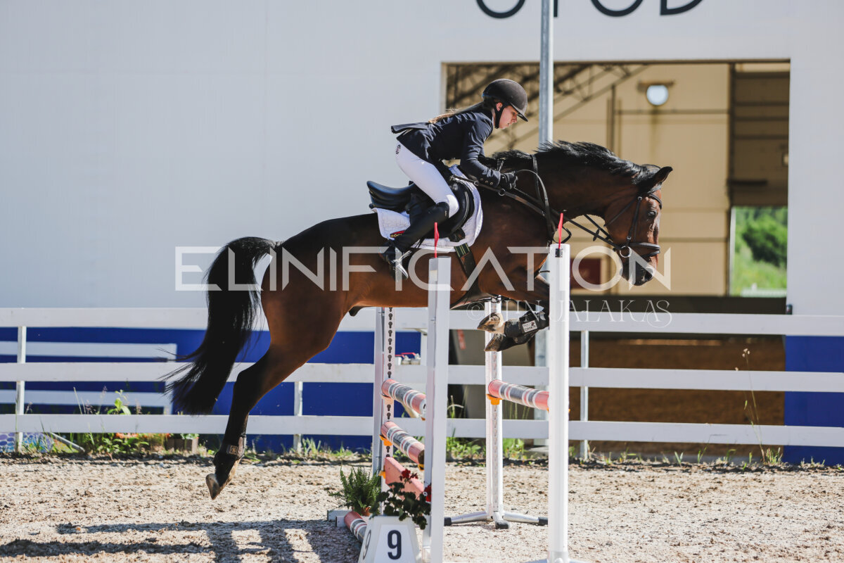 Gramina_Jaanipaev_2026_hc80-90_284