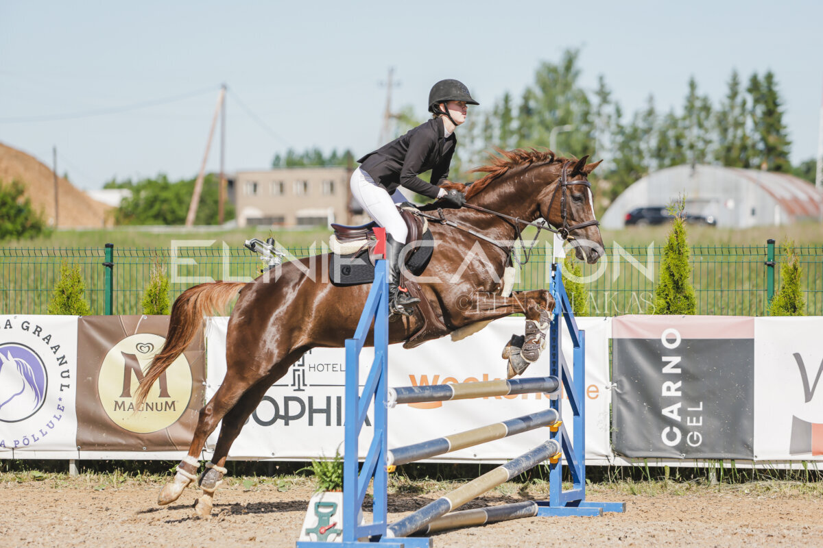Gramina_Jaanipaev_2026_hc80-90_308