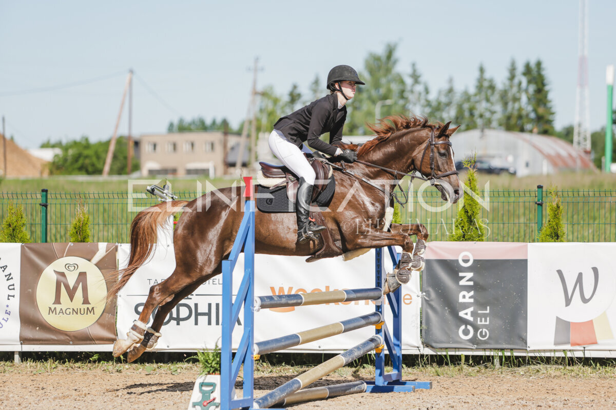 Gramina_Jaanipaev_2026_hc80-90_309
