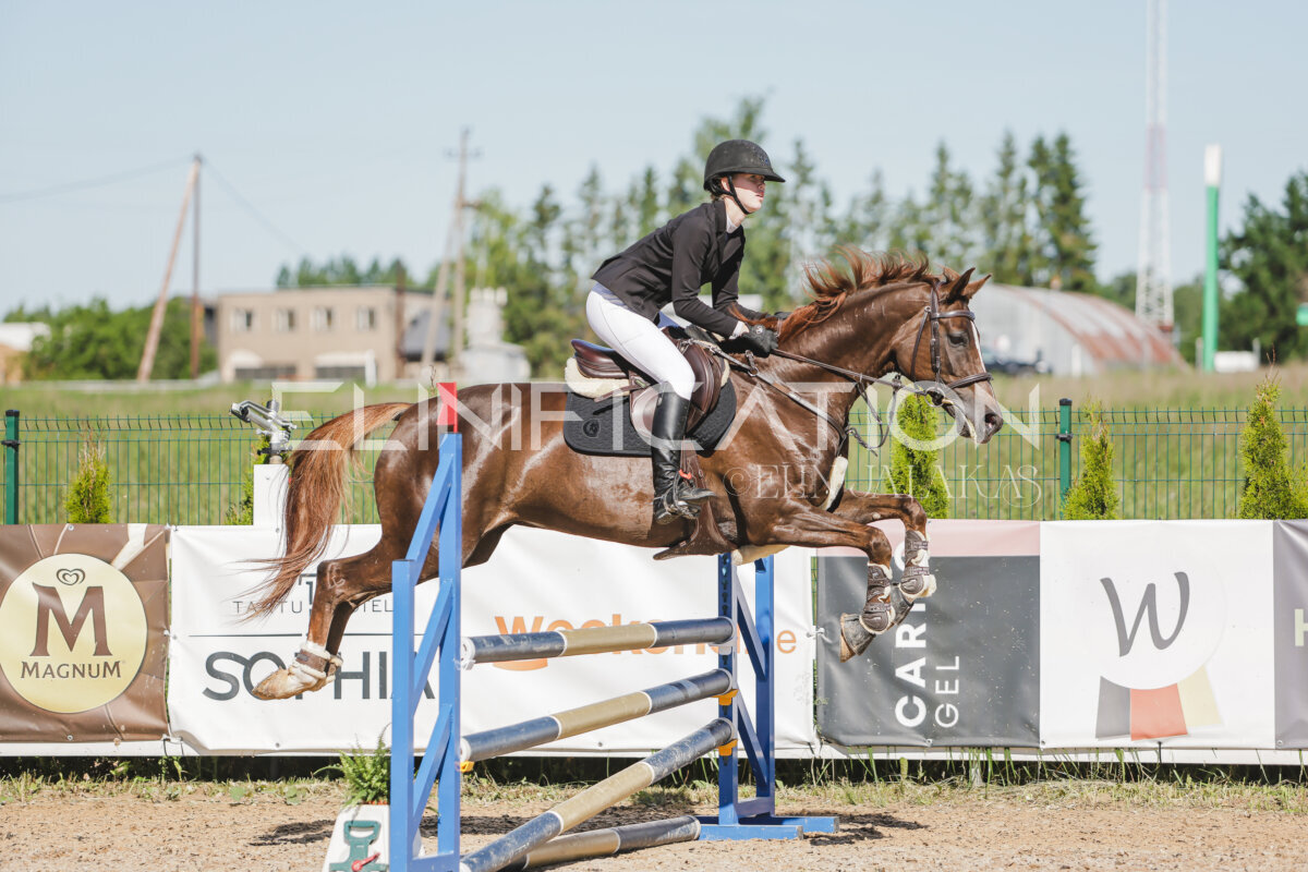 Gramina_Jaanipaev_2026_hc80-90_310