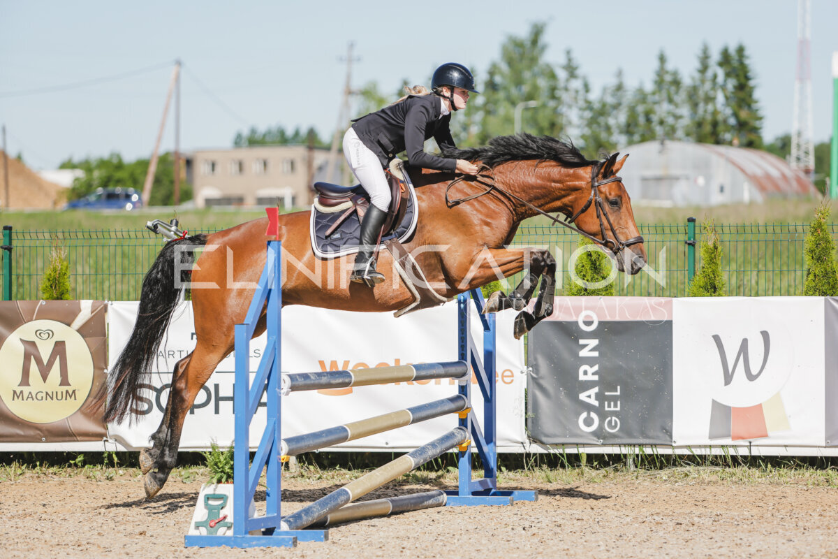 Gramina_Jaanipaev_2026_hc80-90_320