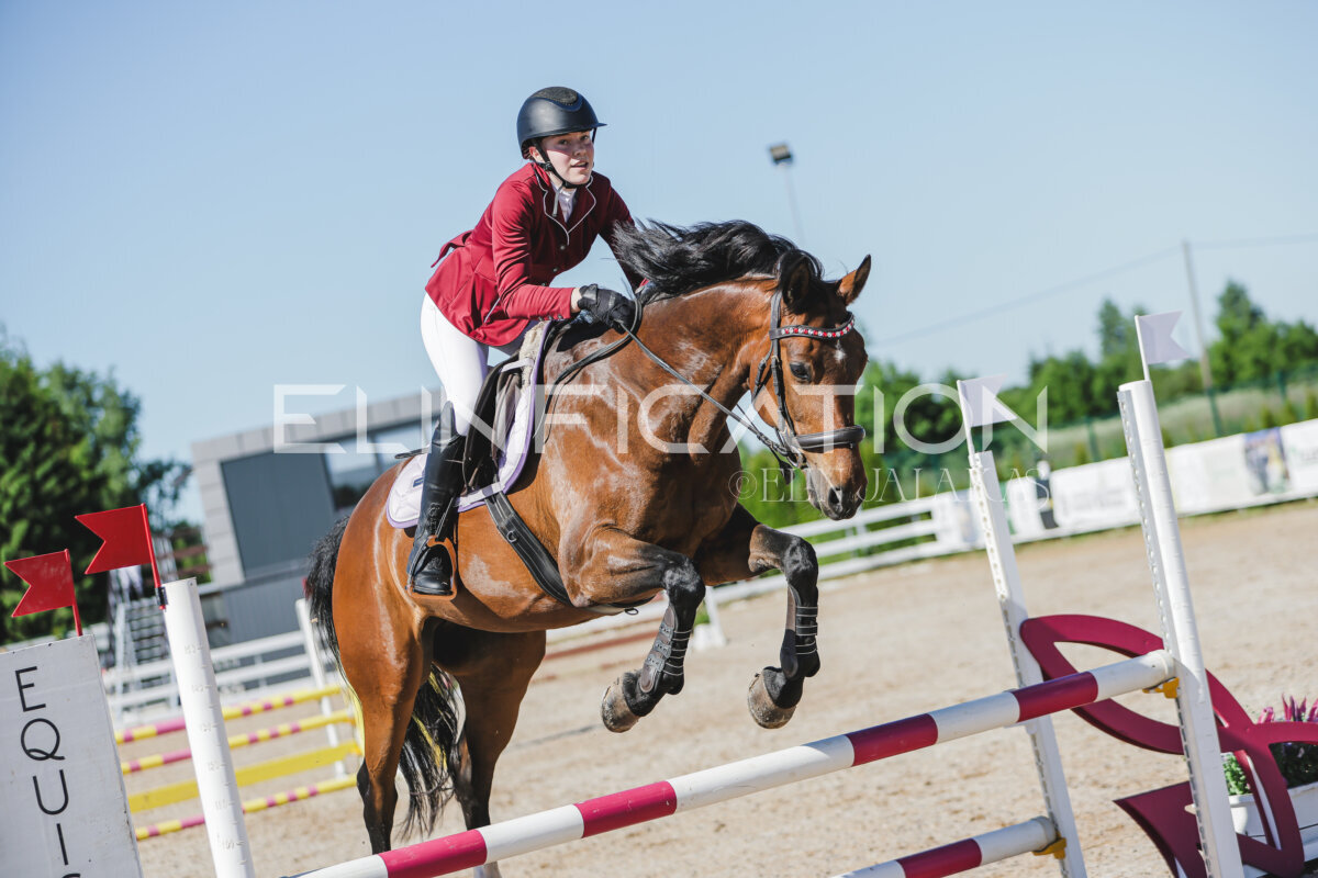 Gramina_Jaanipaev_2026_hc80-90_326