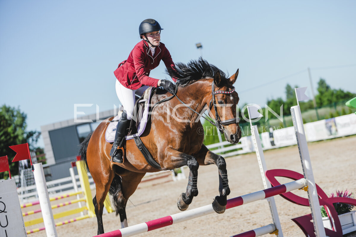 Gramina_Jaanipaev_2026_hc80-90_327