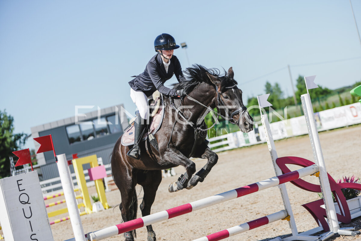 Gramina_Jaanipaev_2026_hc80-90_336
