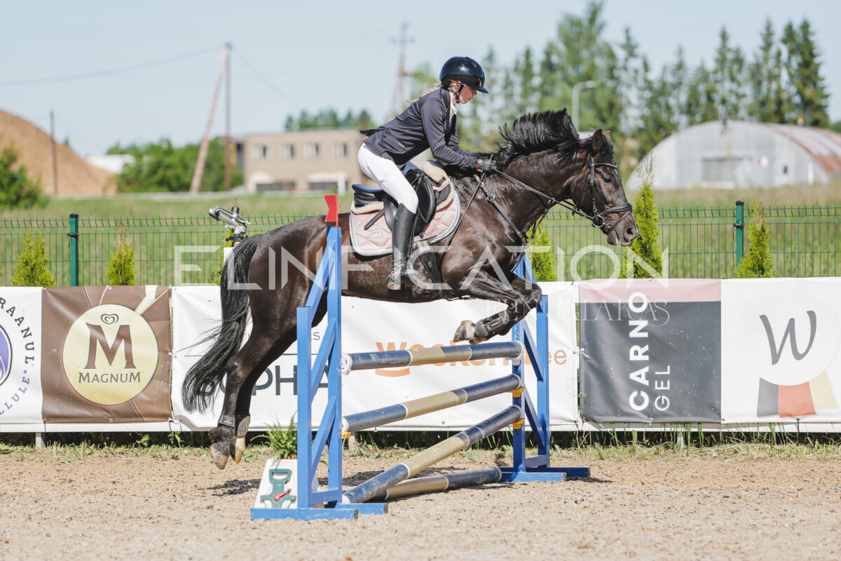 Gramina_Jaanipaev_2026_hc80-90_348