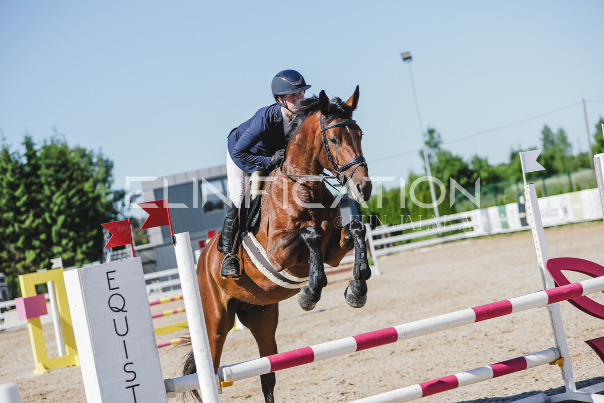 Gramina_Jaanipaev_2026_hc80-90_387