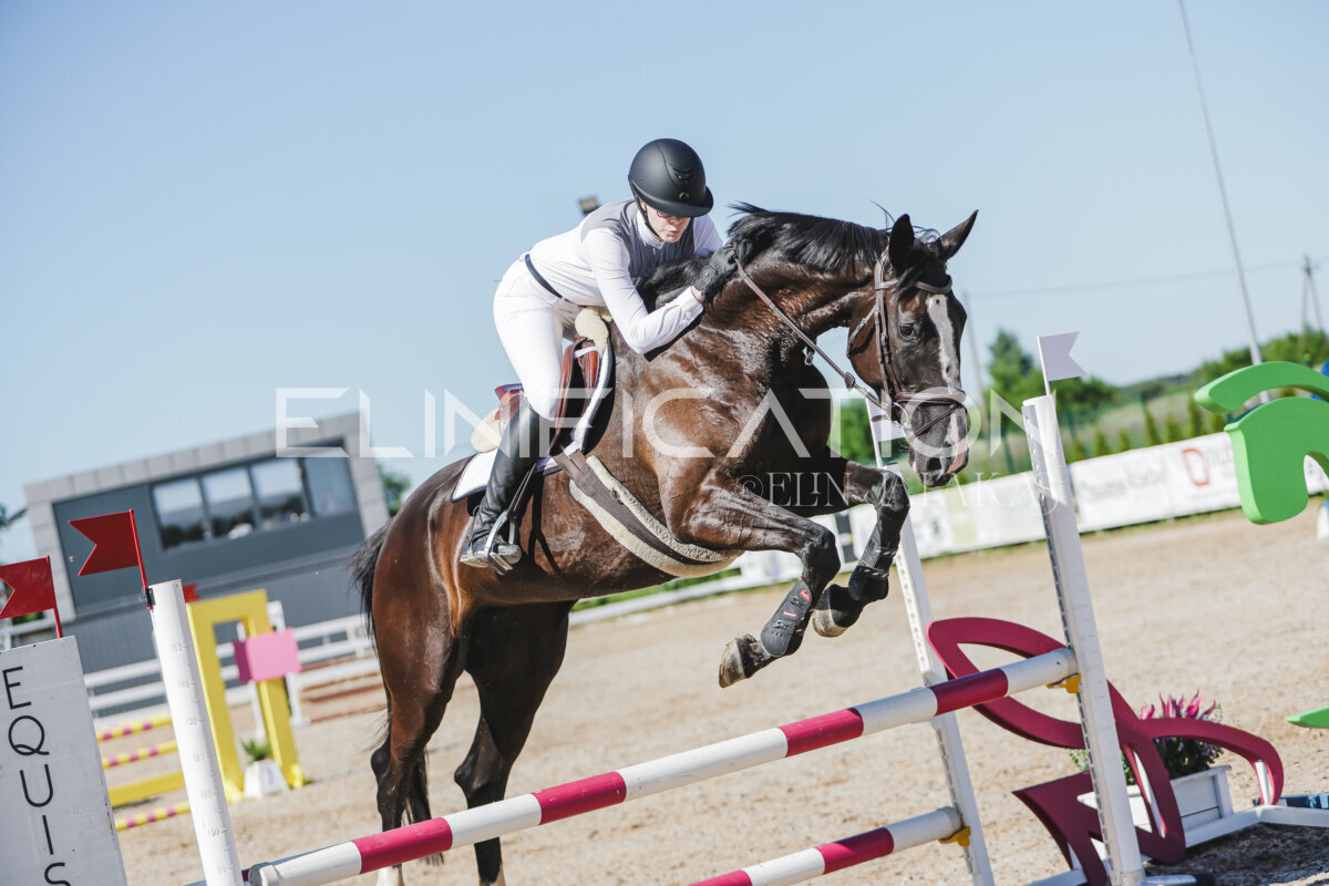 Gramina_Jaanipaev_2026_hc80-90_402
