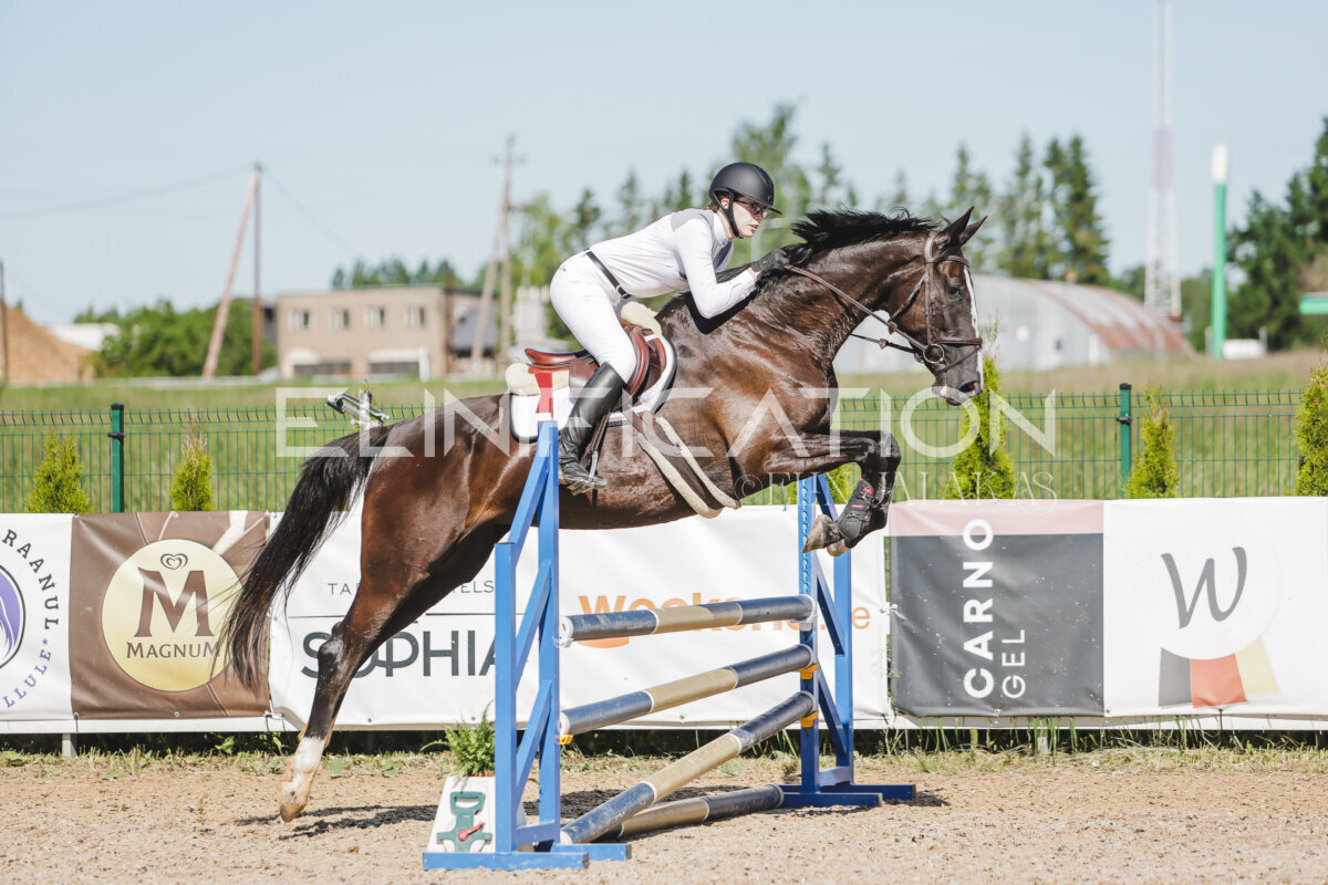 Gramina_Jaanipaev_2026_hc80-90_408