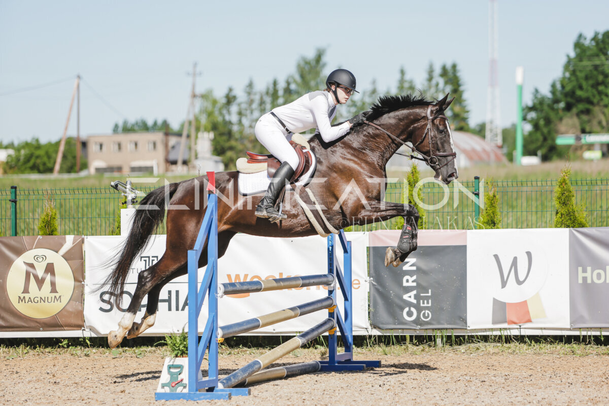 Gramina_Jaanipaev_2026_hc80-90_409