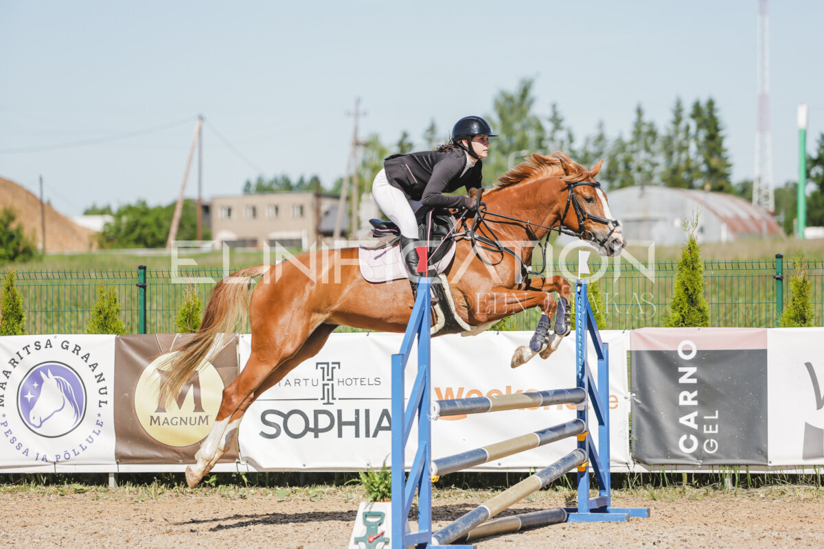 Gramina_Jaanipaev_2026_hc80-90_421