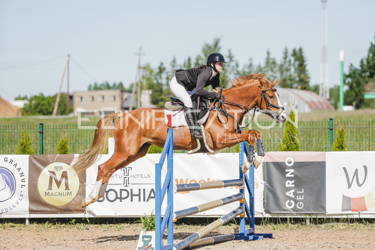 Gramina_Jaanipaev_2026_hc80-90_422