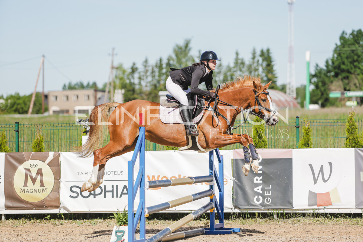 Gramina_Jaanipaev_2026_hc80-90_423