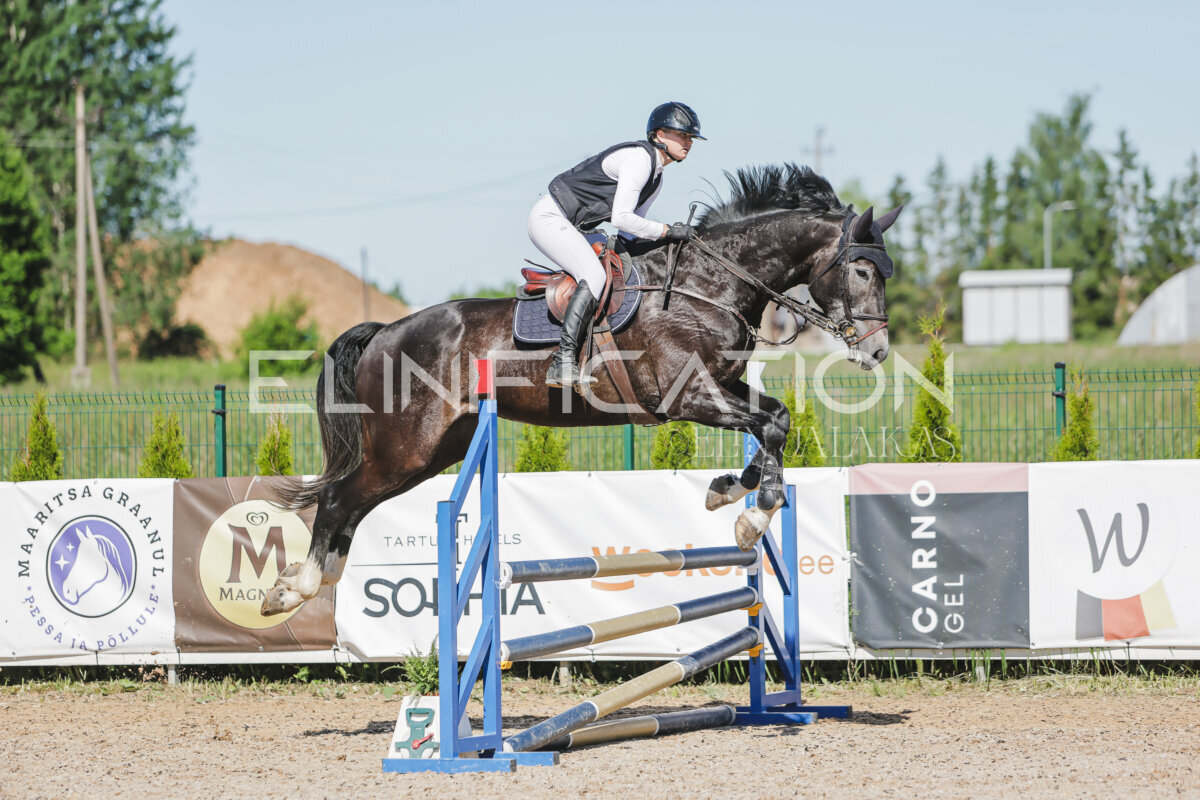 Gramina_Jaanipaev_2026_hc80-90_433