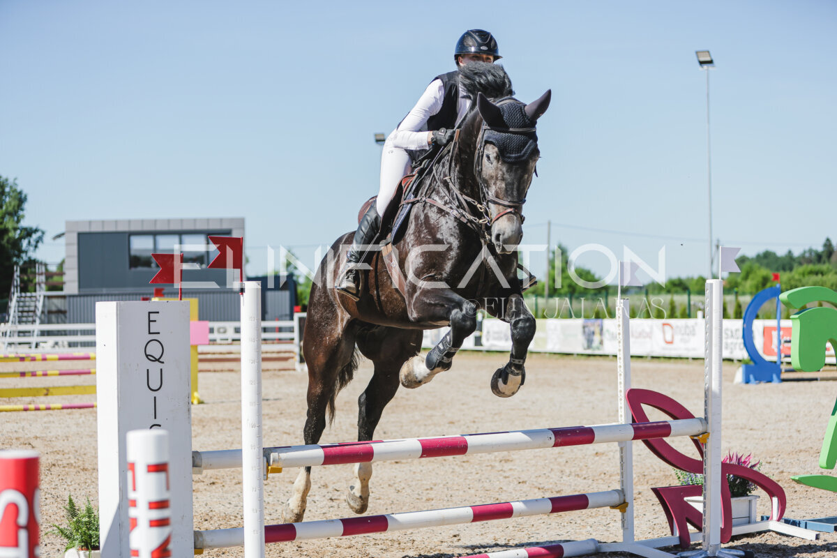 Gramina_Jaanipaev_2026_hc80-90_436