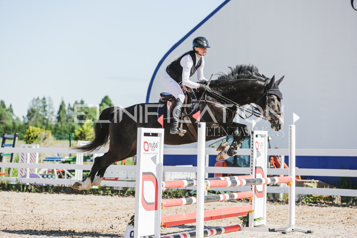 Gramina_Jaanipaev_2026_hc80-90_439