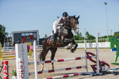 Gramina_Jaanipaev_2026_90_4a_001