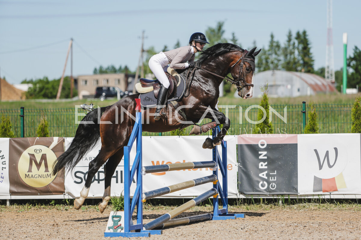 Gramina_Jaanipaev_2026_90_4a_006