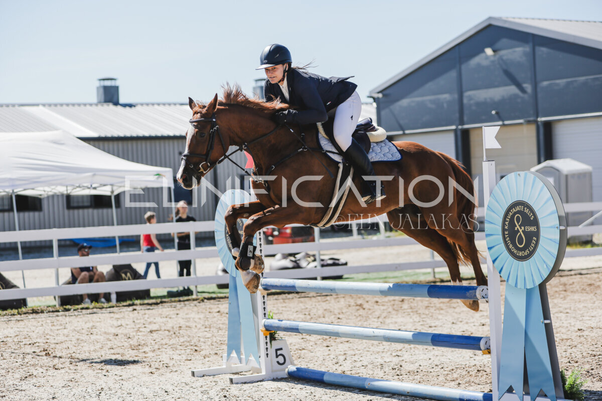 Gramina_Jaanipaev_2026_90_4a_080