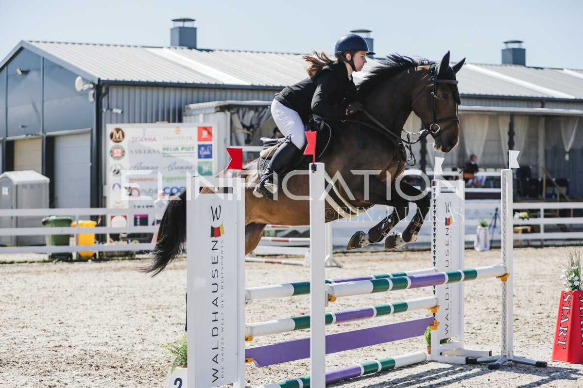 Gramina_Jaanipaev_2026_90_4a_142