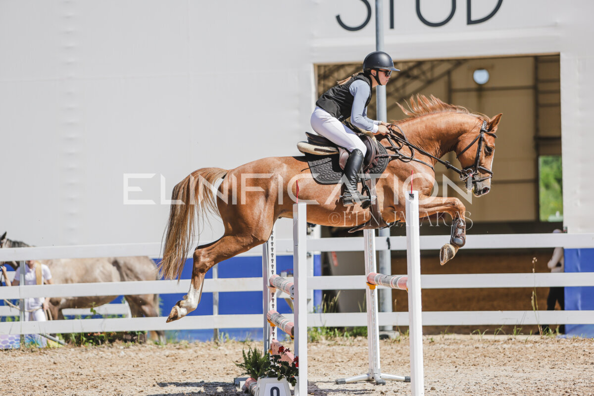 Gramina_Jaanipaev_2026_100_5a_230