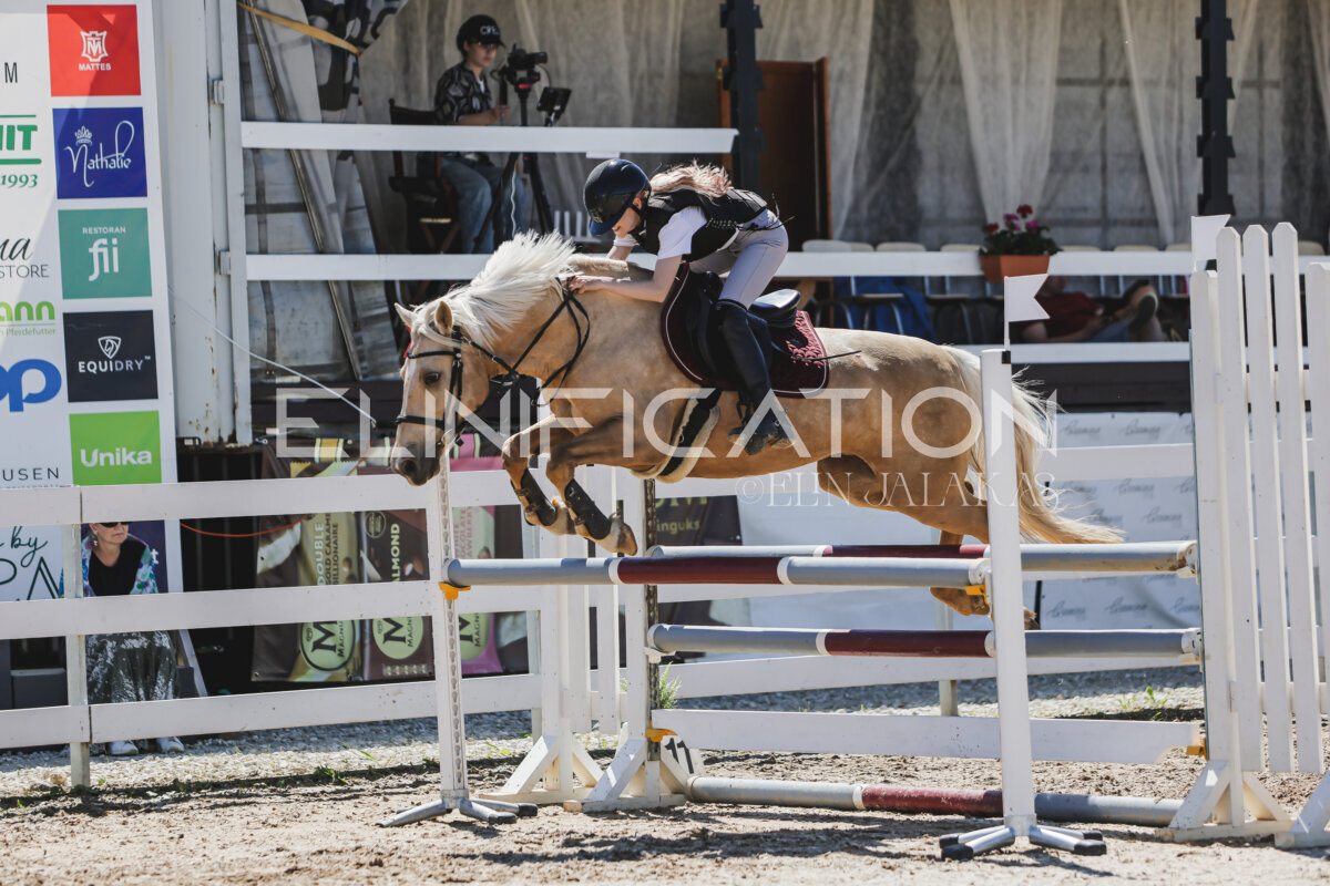 Gramina_Jaanipaev_2026_100_012