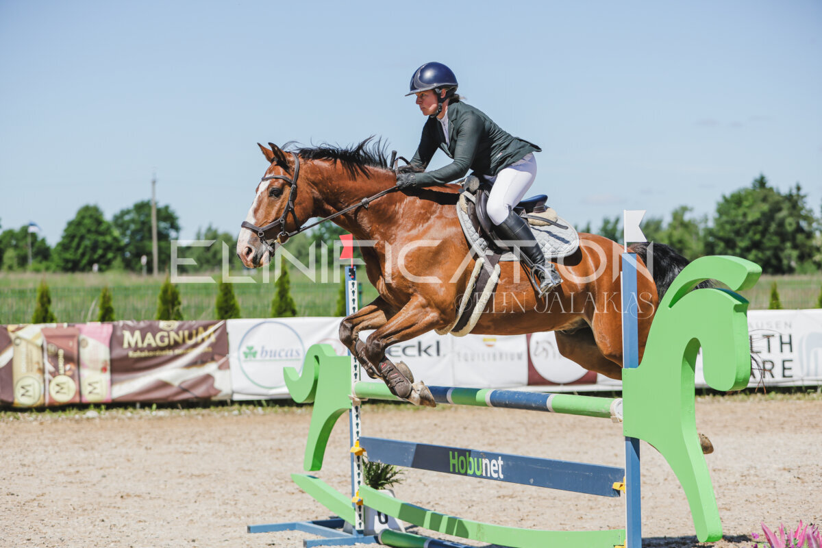 Gramina_Jaanipaev_2026_100_043