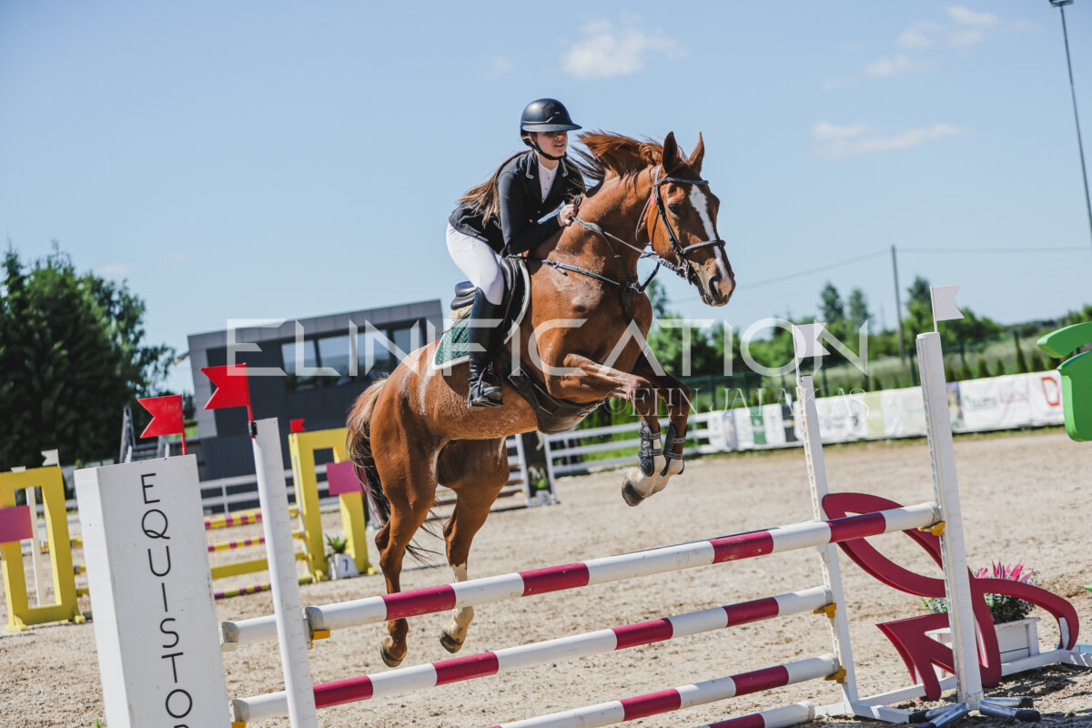 Gramina_Jaanipaev_2026_100_058