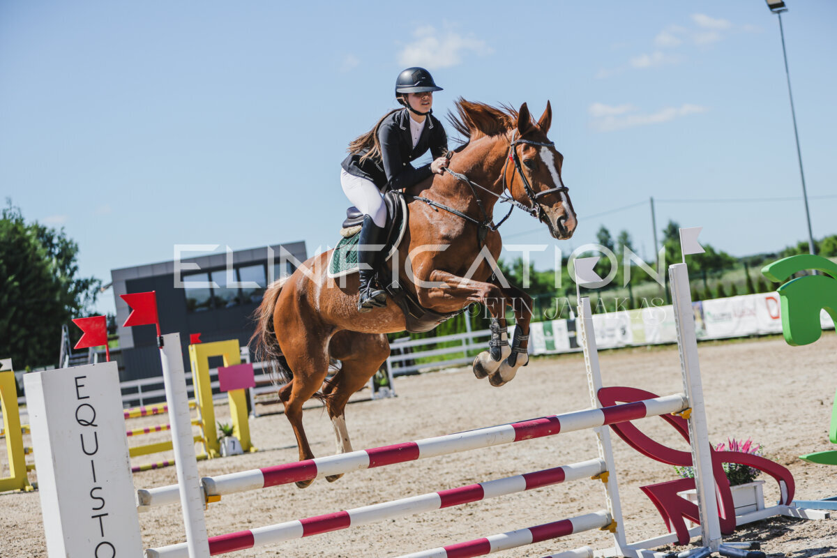 Gramina_Jaanipaev_2026_100_059