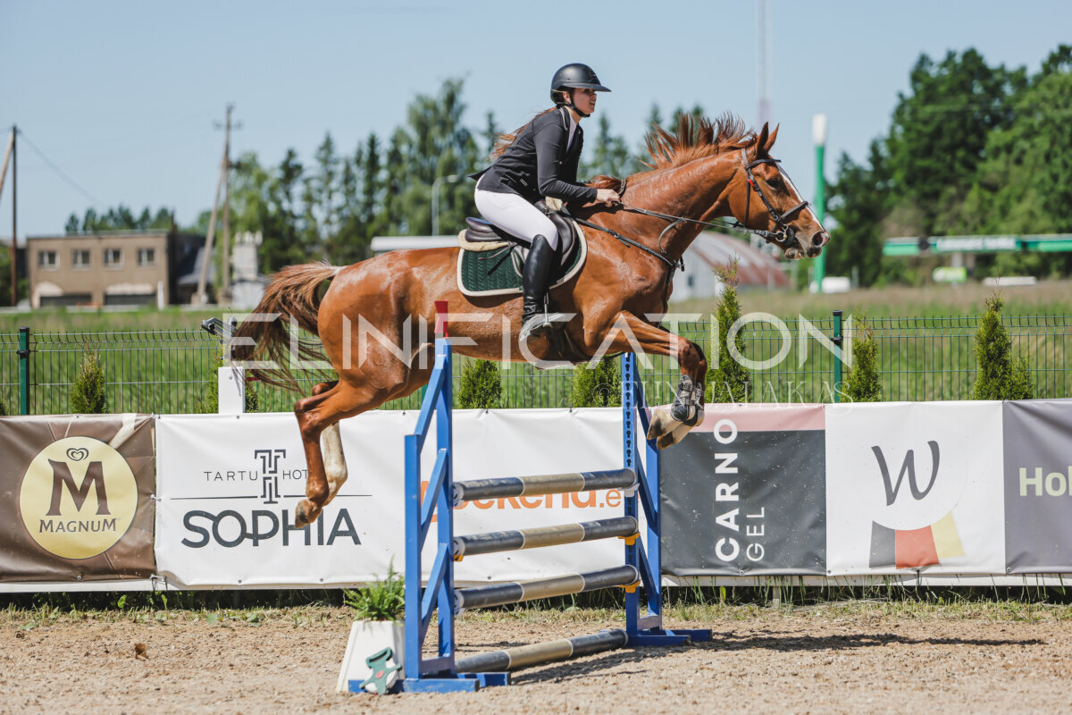 Gramina_Jaanipaev_2026_100_063