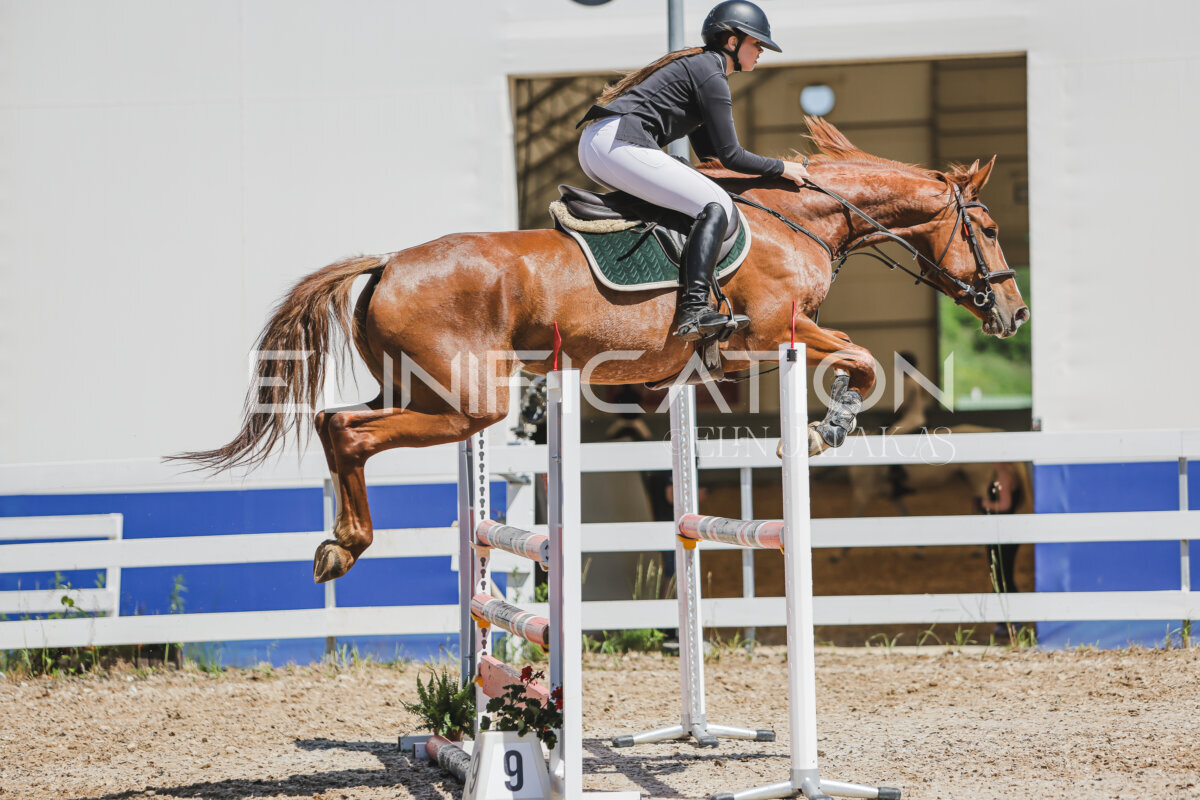 Gramina_Jaanipaev_2026_100_065