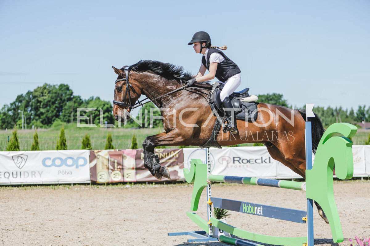 Gramina_Jaanipaev_2026_100_082