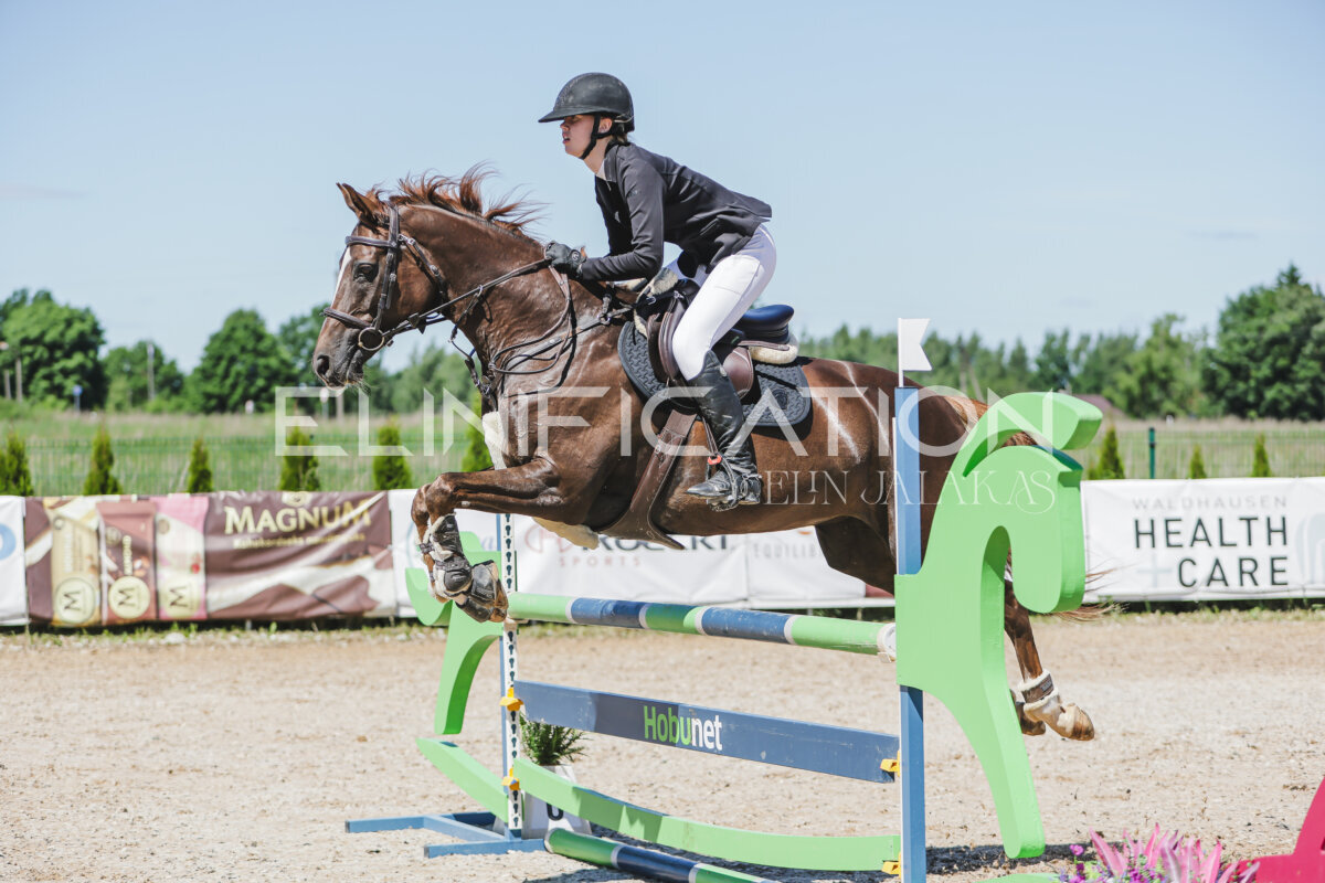 Gramina_Jaanipaev_2026_100_120