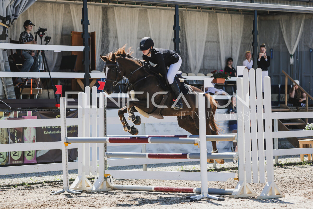 Gramina_Jaanipaev_2026_100_123