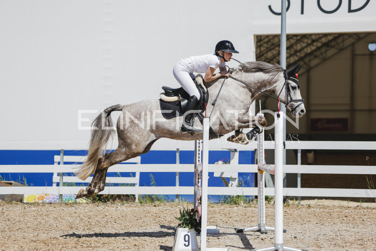 Gramina_Jaanipaev_2026_100_206