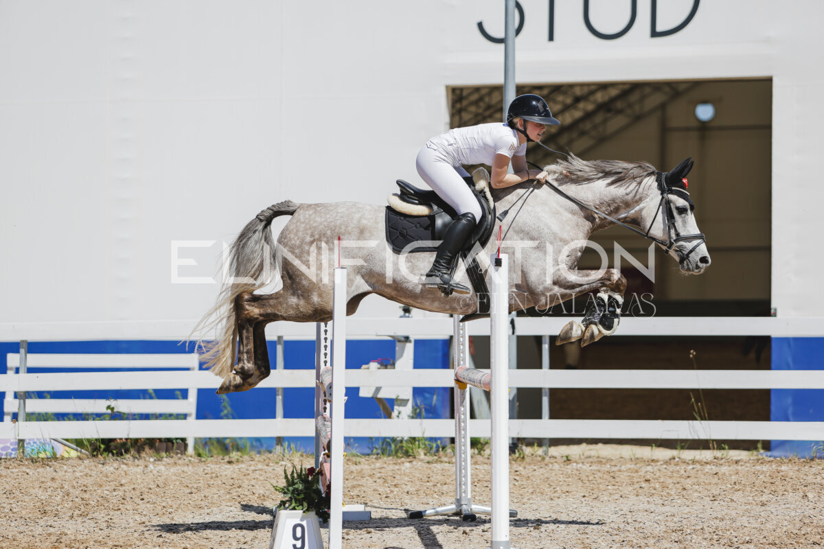 Gramina_Jaanipaev_2026_100_208