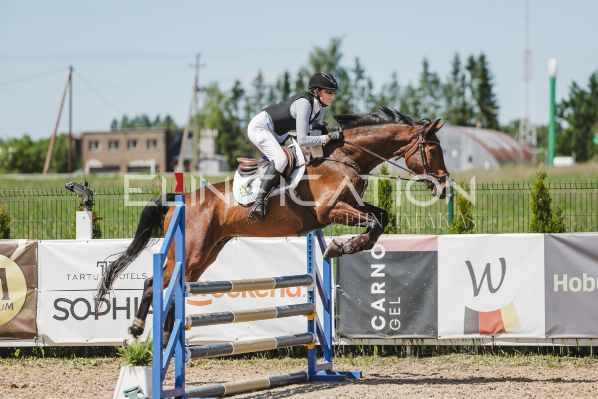 Gramina_Jaanipaev_2026_100_231