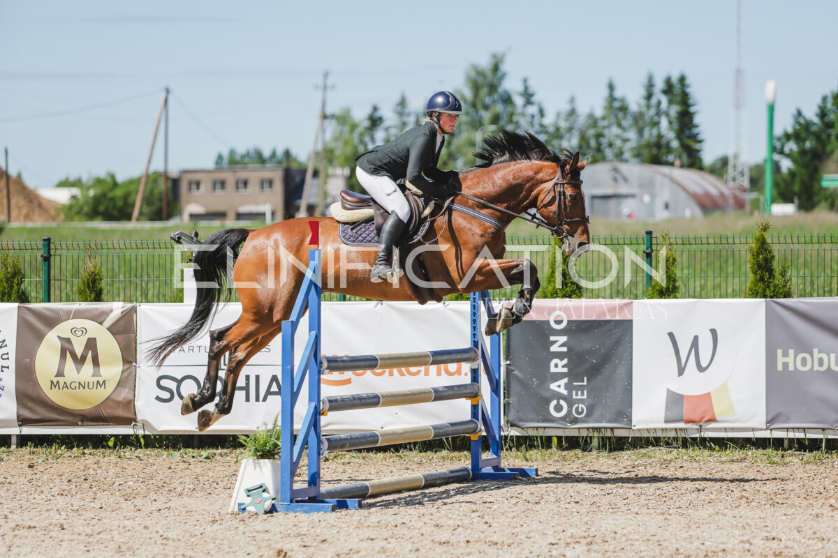 Gramina_Jaanipaev_2026_100_239