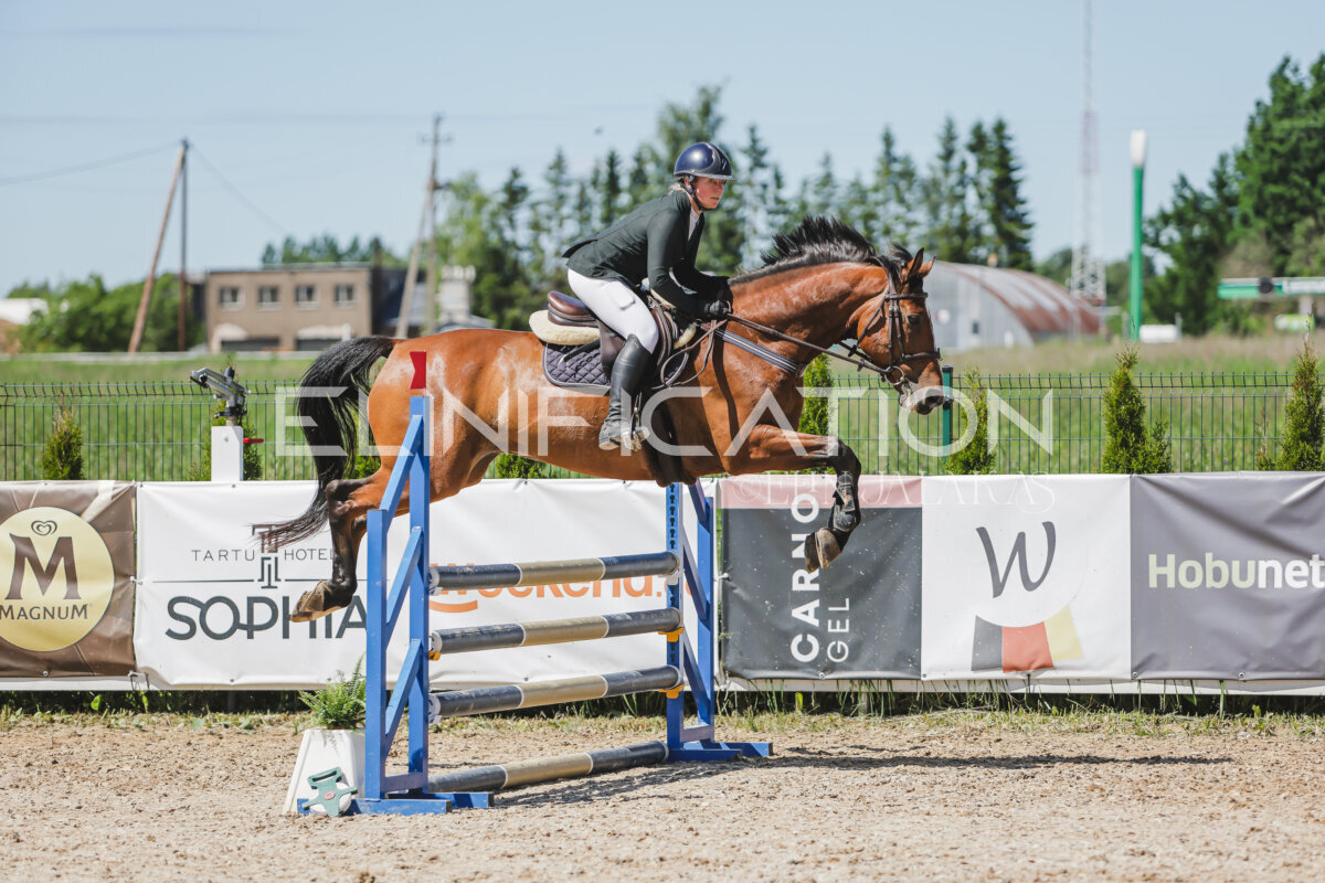 Gramina_Jaanipaev_2026_100_240