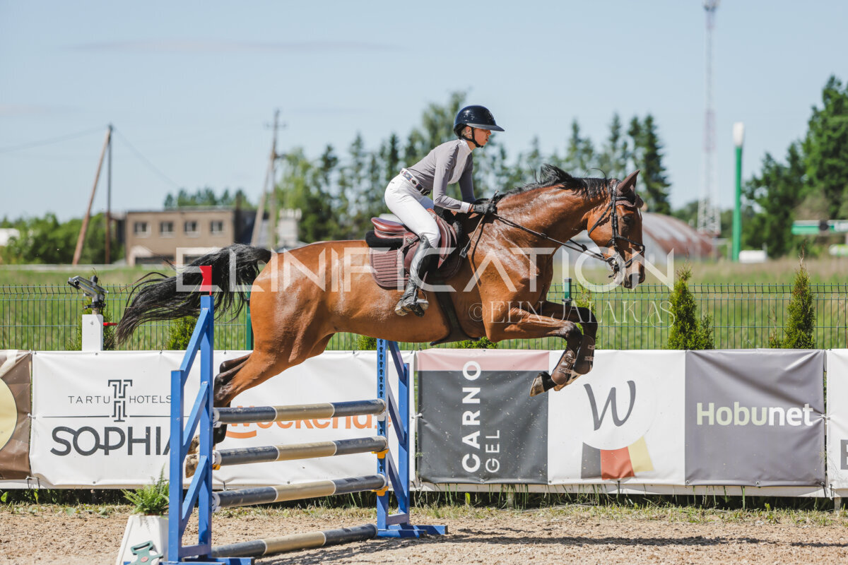 Gramina_Jaanipaev_2026_100_260