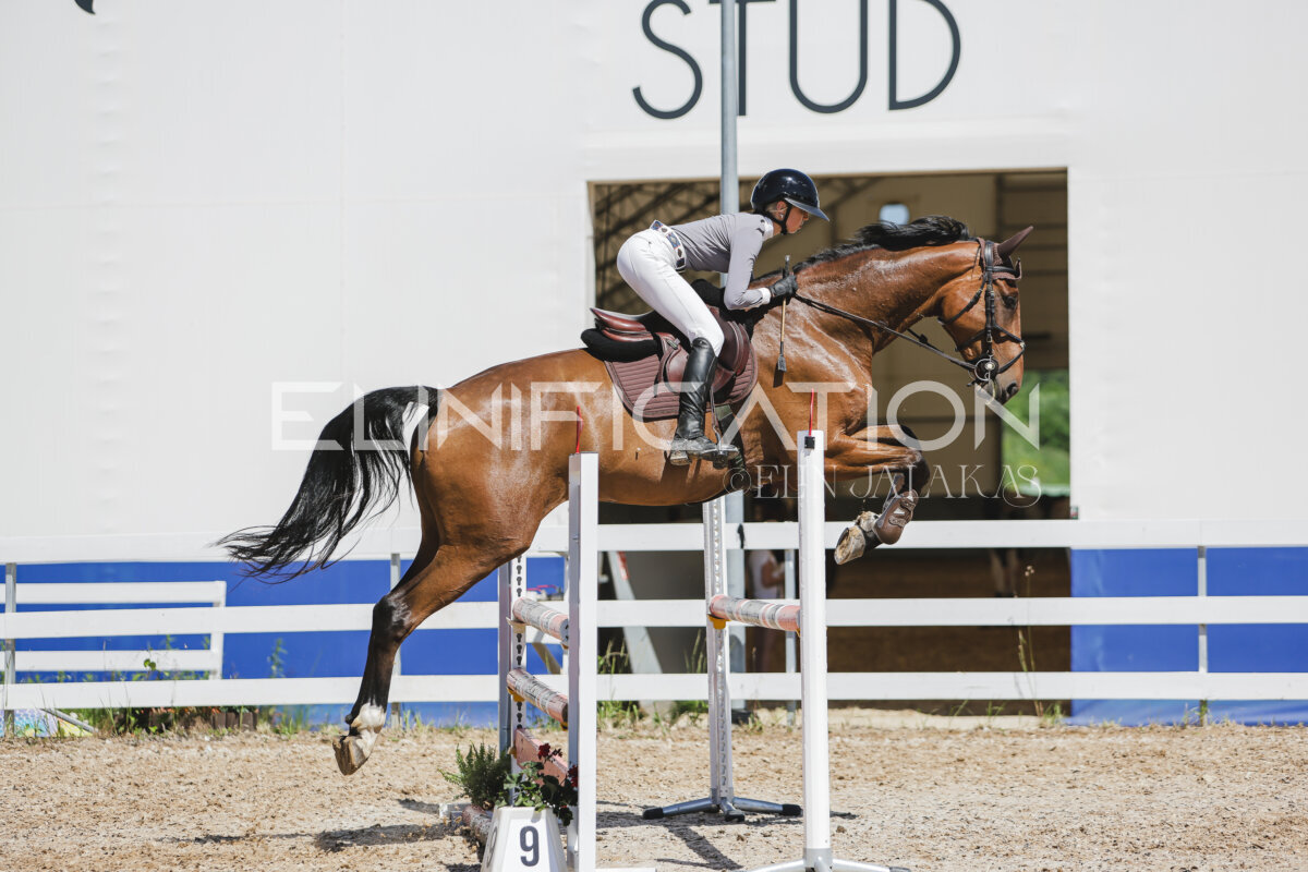 Gramina_Jaanipaev_2026_100_261