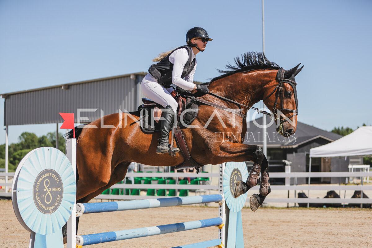 Gramina_Jaanipaev_2026_120_003